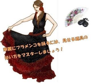 フラメンコを自宅でマスター 鈴木眞澄のフラメンコレッスン DVD 2枚組